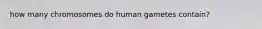 how many chromosomes do human gametes contain?