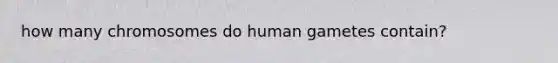 how many chromosomes do human gametes contain?