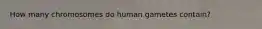 How many chromosomes do human gametes contain?