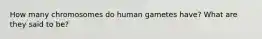 How many chromosomes do human gametes have? What are they said to be?