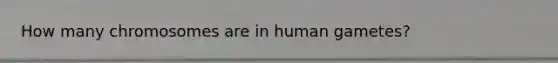 How many chromosomes are in human gametes?