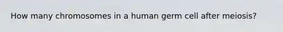 How many chromosomes in a human germ cell after meiosis?