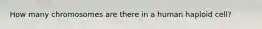 How many chromosomes are there in a human haploid cell?