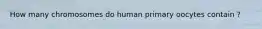 How many chromosomes do human primary oocytes contain ?