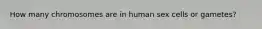 How many chromosomes are in human sex cells or gametes?