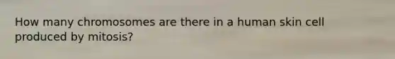 How many chromosomes are there in a human skin cell produced by mitosis?