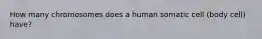 How many chromosomes does a human somatic cell (body cell) have?