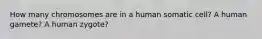 How many chromosomes are in a human somatic cell? A human gamete? A human zygote?