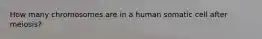 How many chromosomes are in a human somatic cell after meiosis?