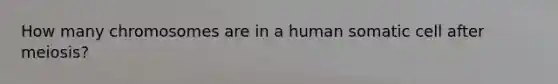 How many chromosomes are in a human somatic cell after meiosis?