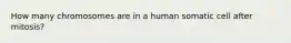 How many chromosomes are in a human somatic cell after mitosis?