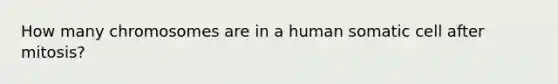 How many chromosomes are in a human somatic cell after mitosis?