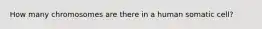 How many chromosomes are there in a human somatic cell?