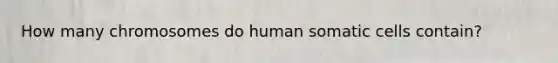 How many chromosomes do human somatic cells contain?