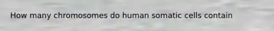 How many chromosomes do human somatic cells contain