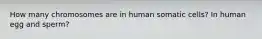 How many chromosomes are in human somatic cells? In human egg and sperm?