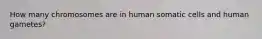 How many chromosomes are in human somatic cells and human gametes?