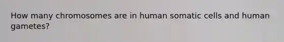 How many chromosomes are in human somatic cells and human gametes?