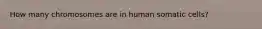 How many chromosomes are in human somatic cells?