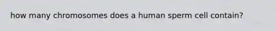 how many chromosomes does a human sperm cell contain?