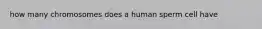 how many chromosomes does a human sperm cell have