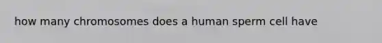 how many chromosomes does a human sperm cell have