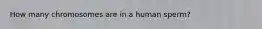 How many chromosomes are in a human sperm?