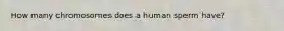 How many chromosomes does a human sperm have?