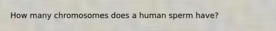 How many chromosomes does a human sperm have?