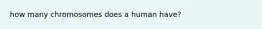 how many chromosomes does a human have?