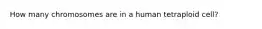 How many chromosomes are in a human tetraploid cell?