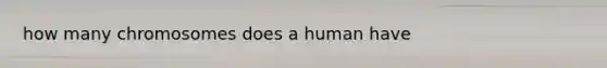 how many chromosomes does a human have