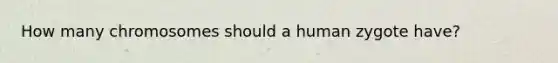 How many chromosomes should a human zygote have?