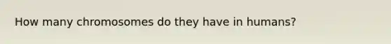 How many chromosomes do they have in humans?