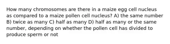 How many chromosomes are there in a maize egg <a href='https://www.questionai.com/knowledge/ksZq6y1LRD-cell-nucleus' class='anchor-knowledge'>cell nucleus</a> as compared to a maize pollen cell nucleus? A) the same number B) twice as many C) half as many D) half as many or the same number, depending on whether the pollen cell has divided to produce sperm or not