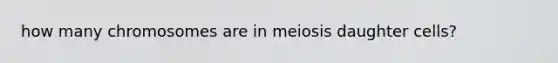 how many chromosomes are in meiosis daughter cells?