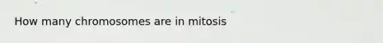 How many chromosomes are in mitosis