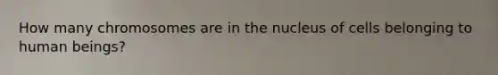 How many chromosomes are in the nucleus of cells belonging to human beings?