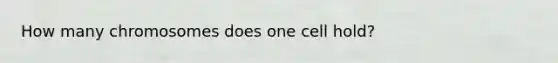 How many chromosomes does one cell hold?