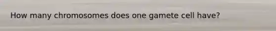 How many chromosomes does one gamete cell have?