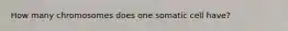 How many chromosomes does one somatic cell have?