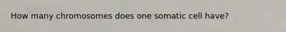 How many chromosomes does one somatic cell have?