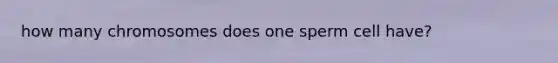 how many chromosomes does one sperm cell have?