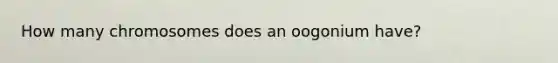 How many chromosomes does an oogonium have?