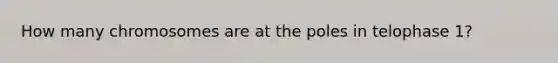 How many chromosomes are at the poles in telophase 1?