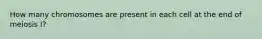 How many chromosomes are present in each cell at the end of meiosis I?