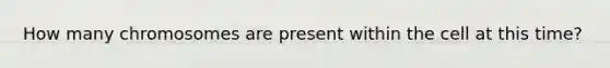 How many chromosomes are present within the cell at this time?