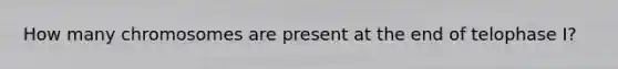 How many chromosomes are present at the end of telophase I?