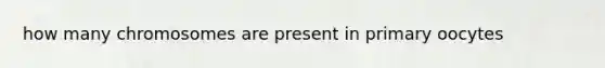 how many chromosomes are present in primary oocytes