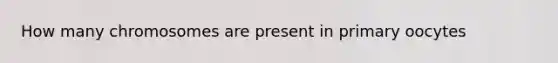 How many chromosomes are present in primary oocytes